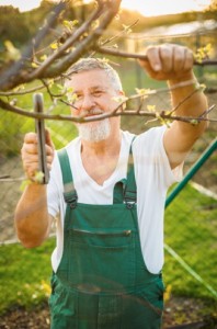 If you are physically fit and enjoy the outdoors work in a park or on a farm may be for you.